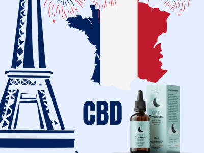 Les Avantages et Légalité du CBD en France : Guide Complet 2024