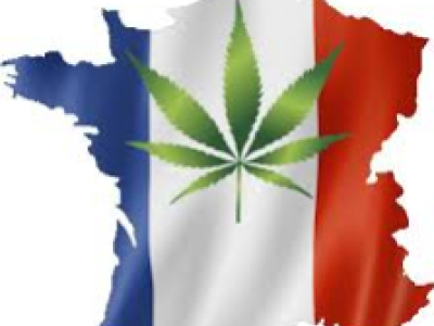 Faut-il légaliser le cannabis en France ? Un débat toujours brûlant