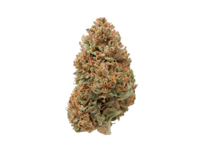 Lemon Haze THCx : Découverte, Effets