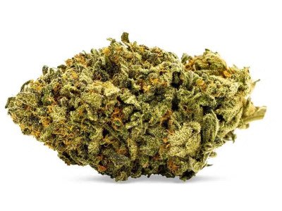 Test de la Critical Greenhouse Hybride