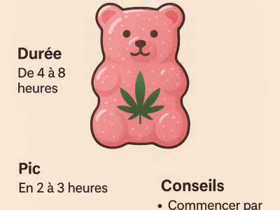 Gummies Delta-9 THC : combien de temps dure l’effet ?
