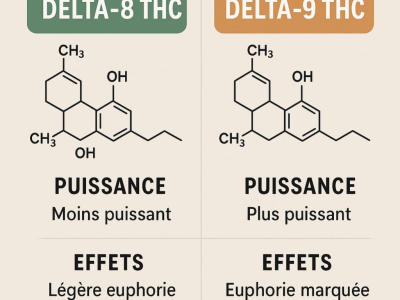 Delta-8 ou Delta-9 THC ? Comparaison Complète