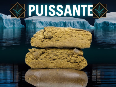 Résine CBD Puissante : Guide Complet et Conseils d’Utilisation