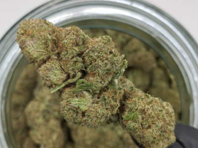 Fleur CBD Lemon Haze Premium Française