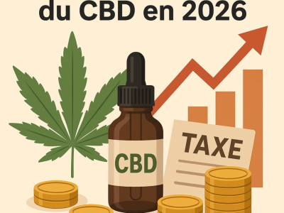 Hausse du prix du CBD en 2026 : tout comprendre sur la future taxe et ses impact