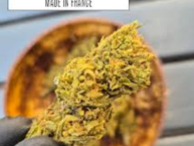 Fleurs de CBD bio françaises 2026 : comment bien la choisir ?